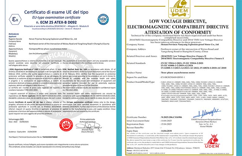 河南省南洋防爆電機順利通過CE與ATEX國際認(rèn)證